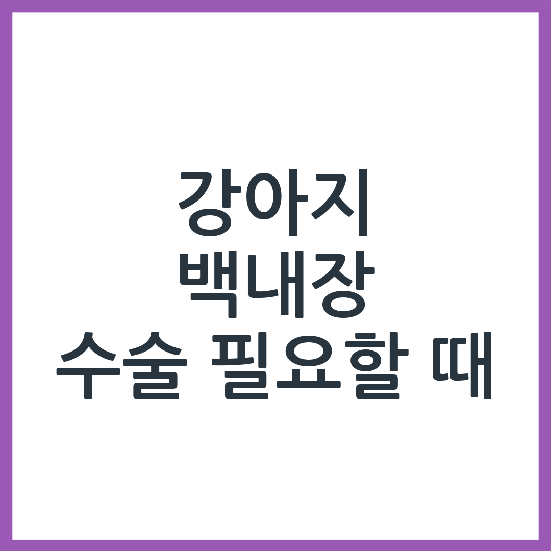 강아지 백내장 — 언제 수술하고 언제 지켜봐야 할까