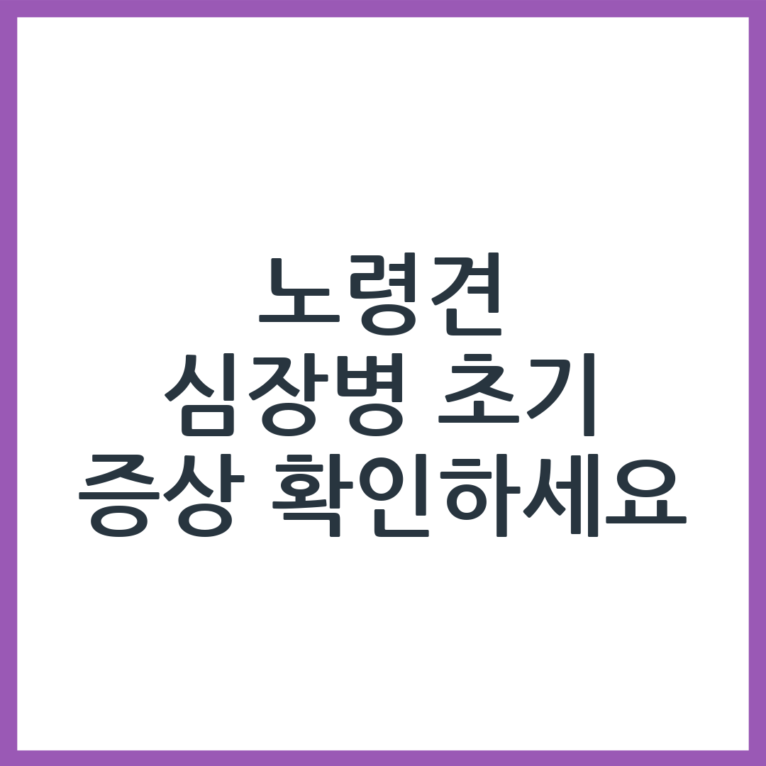 노령견 심장병 초기 증상 체크리스트