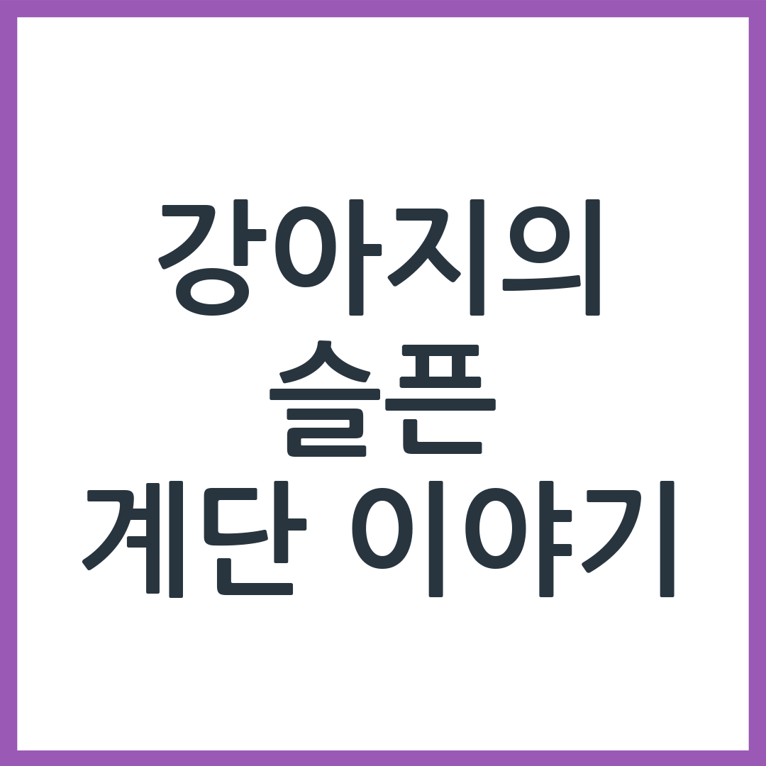 강아지가 계단을 못 오르기 시작할 때