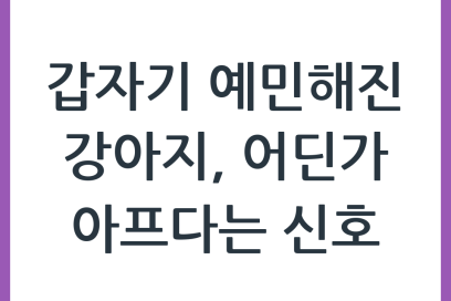 강아지가 예민해지고 쉽게 놀라는 모습, 단순 노화일까요?