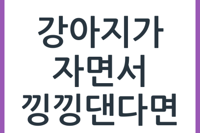 강아지 자다가 울음소리를 낼 때, 노화와 인지 저하의 경계에서