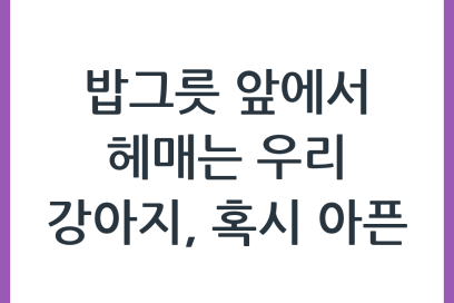 강아지가 밥그릇 위치를 헷갈리는 이유와 대처