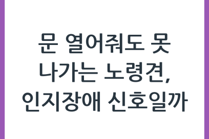 노령견이 문이 열려 있어도 나가지 못하는 이유와 인지 변화