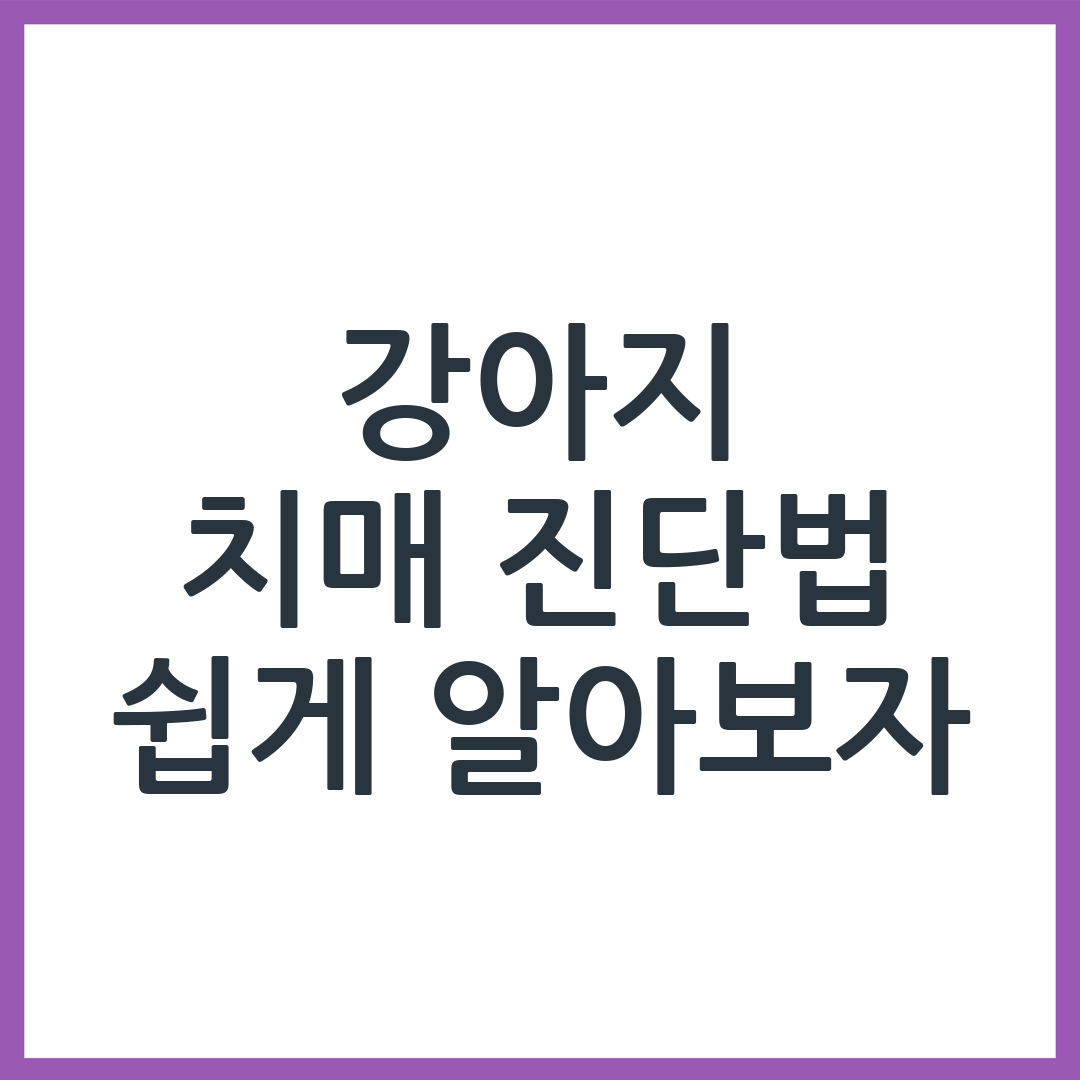 강아지 치매 DISHA 진단 기준 쉽게 이해하기