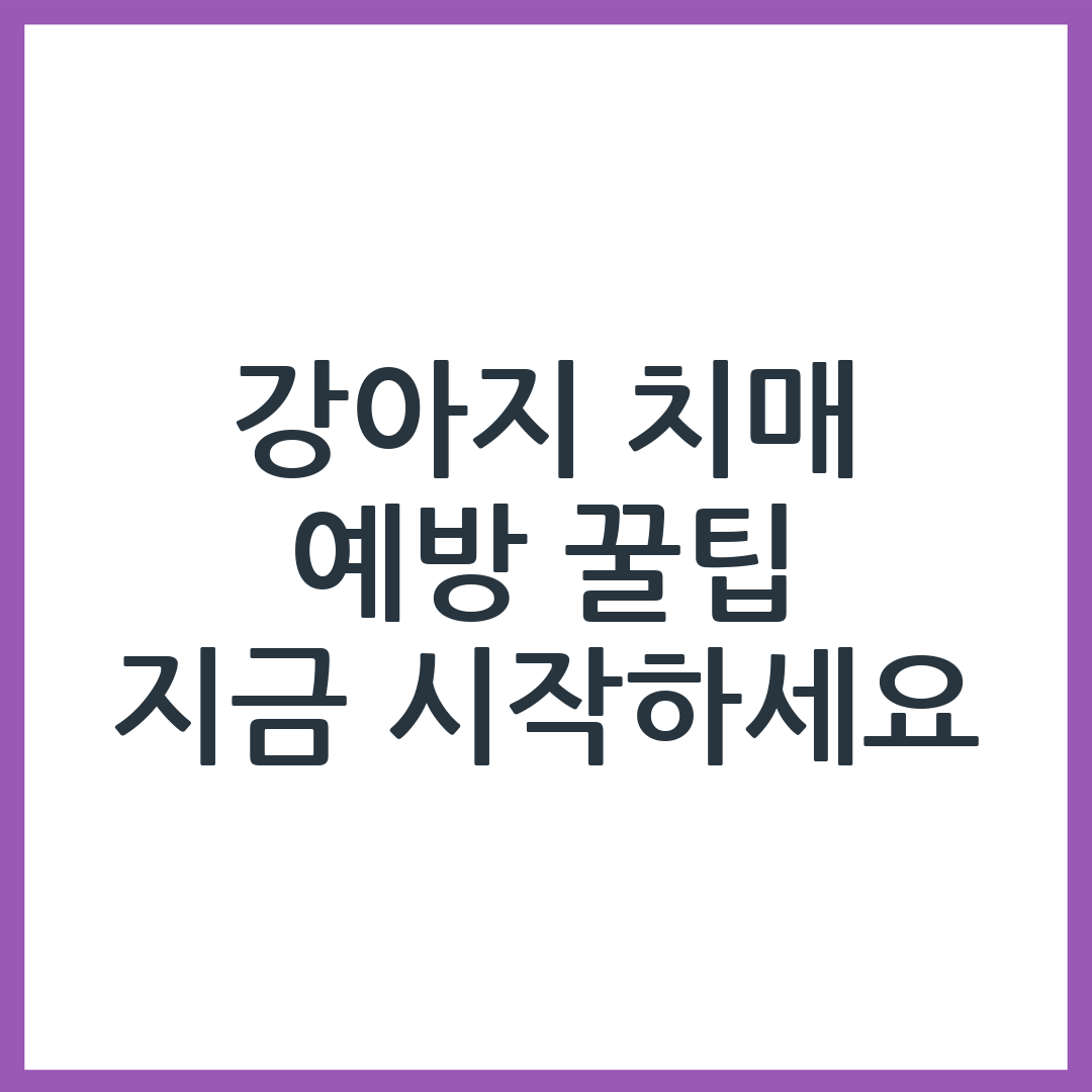 강아지 치매 예방을 위해 지금 당장 할 수 있는 것