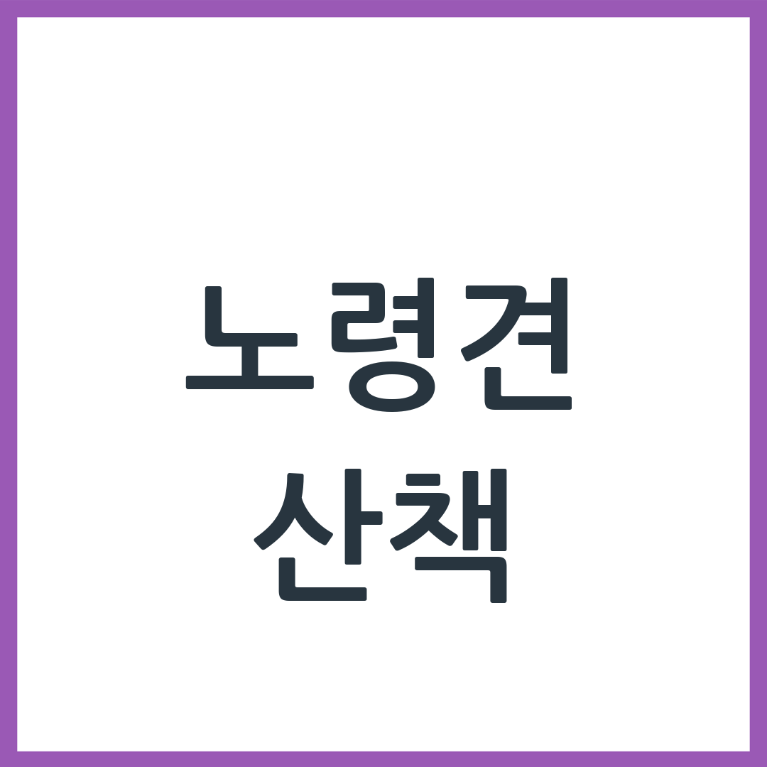 노령견 산책 얼마나 시켜야 할까 — 나이별 기준 정리