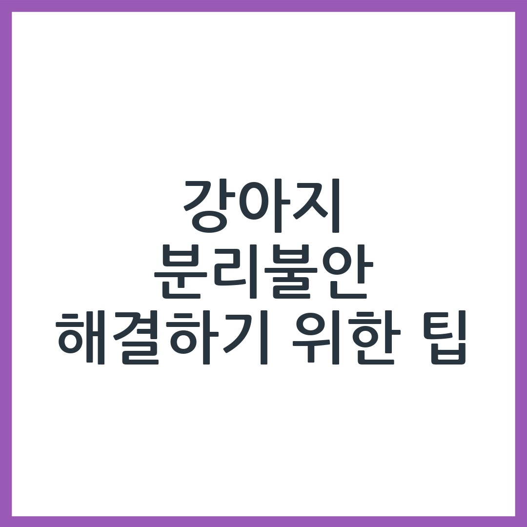 강아지 분리불안 증상과 해결 방법